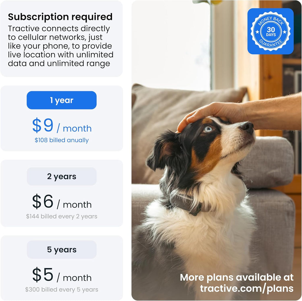 Smart Dog GPS Collar | Live Pet Tracker with Virtual Fence | Vital Signs Monitoring of Heart & Respiratory Rate | Bark Monitoring | LED Dog Collar (Blue, Large)