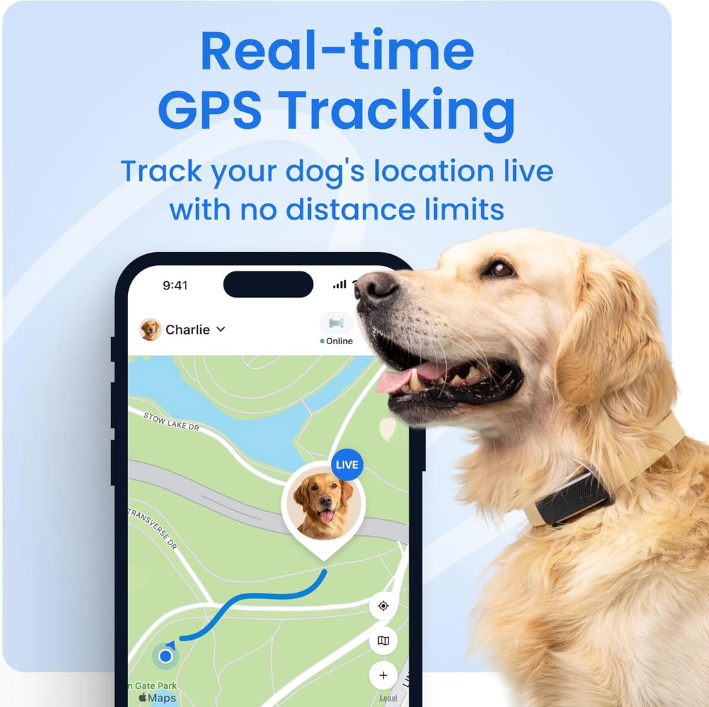 Smart Dog GPS Collar | Live Pet Tracker with Virtual Fence | Vital Signs Monitoring of Heart & Respiratory Rate | Bark Monitoring | LED Dog Collar (Blue, Large)
