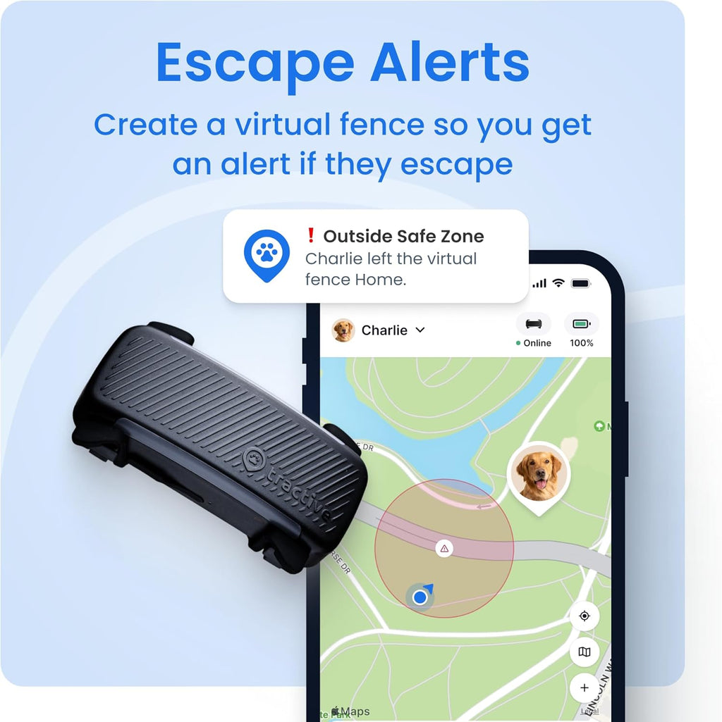 Smart Dog GPS Collar | Live Pet Tracker with Virtual Fence | Vital Signs Monitoring of Heart & Respiratory Rate | Bark Monitoring | LED Dog Collar (Blue, Large)