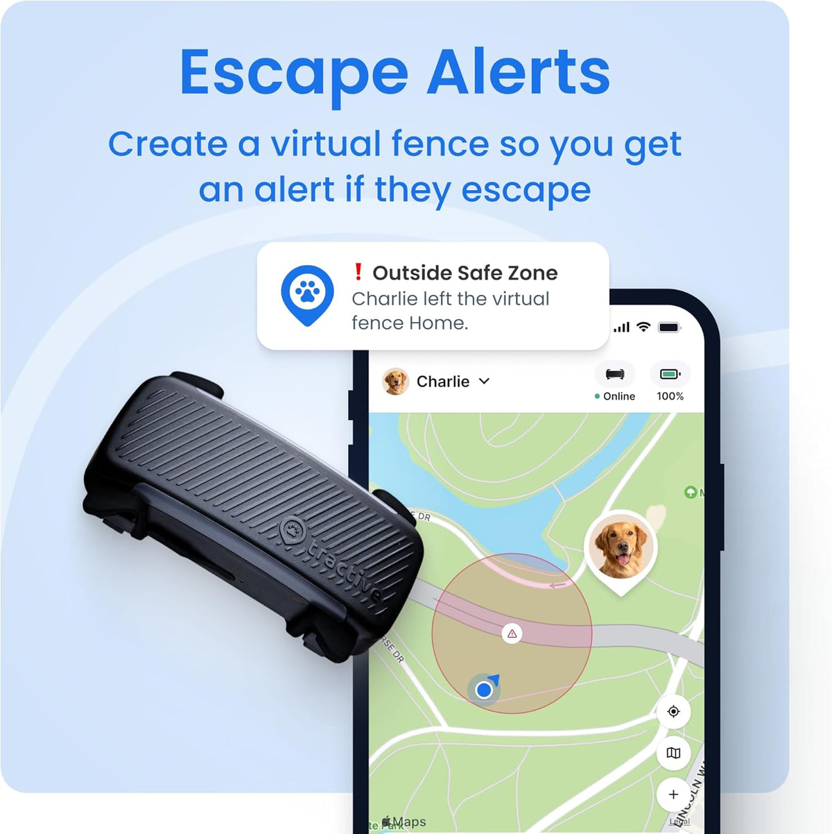 Smart Dog GPS Collar | Live Pet Tracker with Virtual Fence | Vital Signs Monitoring of Heart & Respiratory Rate | Bark Monitoring | LED Dog Collar (Blue, Large)