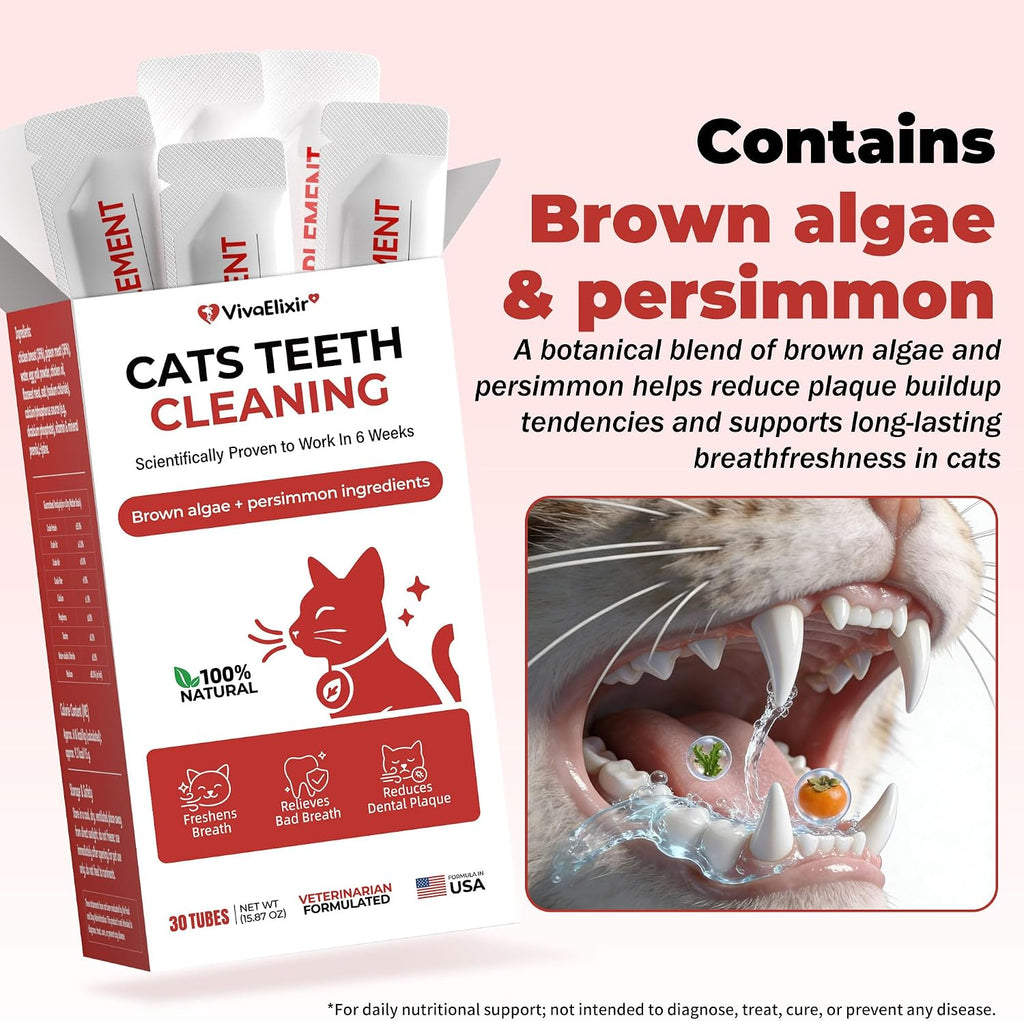 Cat Dental Care & Cat Teeth Cleaning Gel Treat for Cats – Dental Care for Cats, Cat Oral Care to Freshen Cat Breath, Help Reduce Plaque Buildup, Cats Bad Breath Support with Papain, MCC