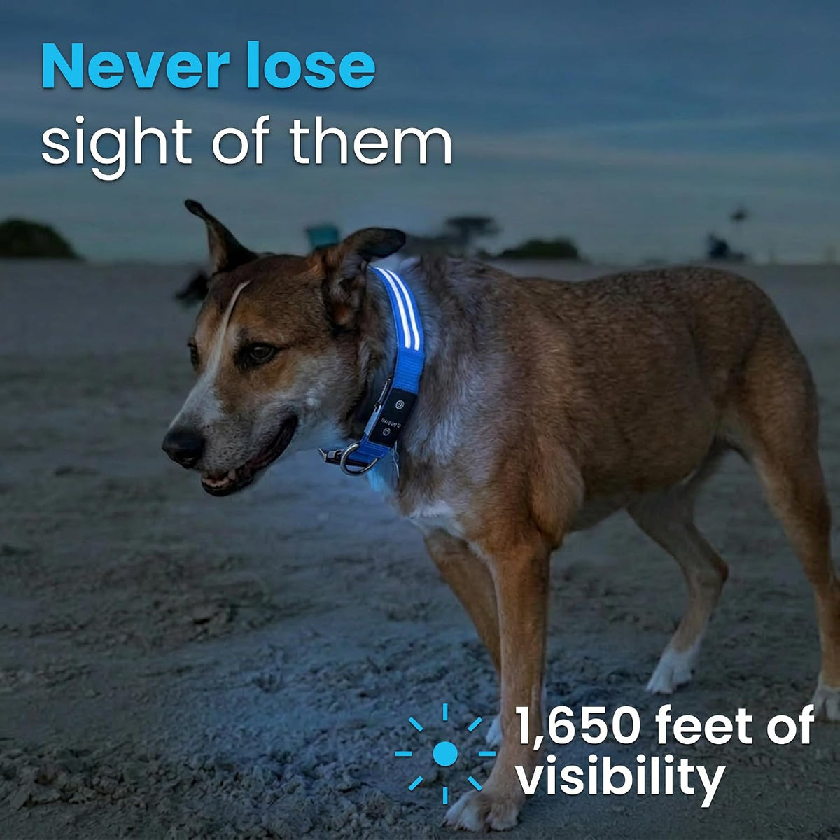 Smart Dog GPS Collar | Live Pet Tracker with Virtual Fence | Vital Signs Monitoring of Heart & Respiratory Rate | Bark Monitoring | LED Dog Collar (Blue, Large)