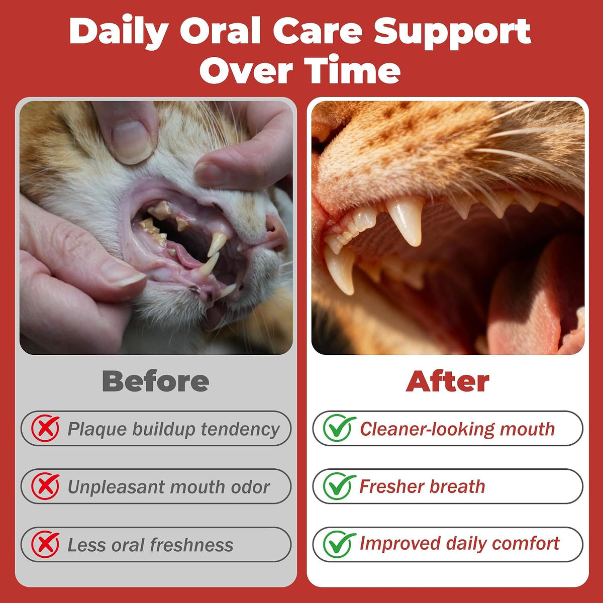 Cat Dental Care & Cat Teeth Cleaning Gel Treat for Cats – Dental Care for Cats, Cat Oral Care to Freshen Cat Breath, Help Reduce Plaque Buildup, Cats Bad Breath Support with Papain, MCC