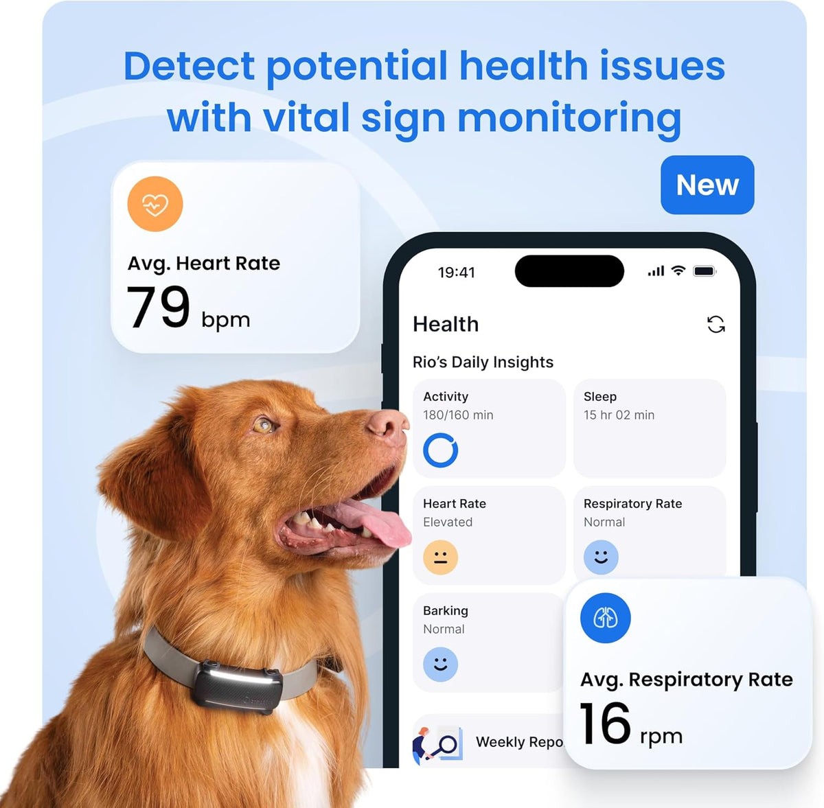 Smart Dog GPS Collar | Live Pet Tracker with Virtual Fence | Vital Signs Monitoring of Heart & Respiratory Rate | Bark Monitoring | LED Dog Collar (Blue, Large)