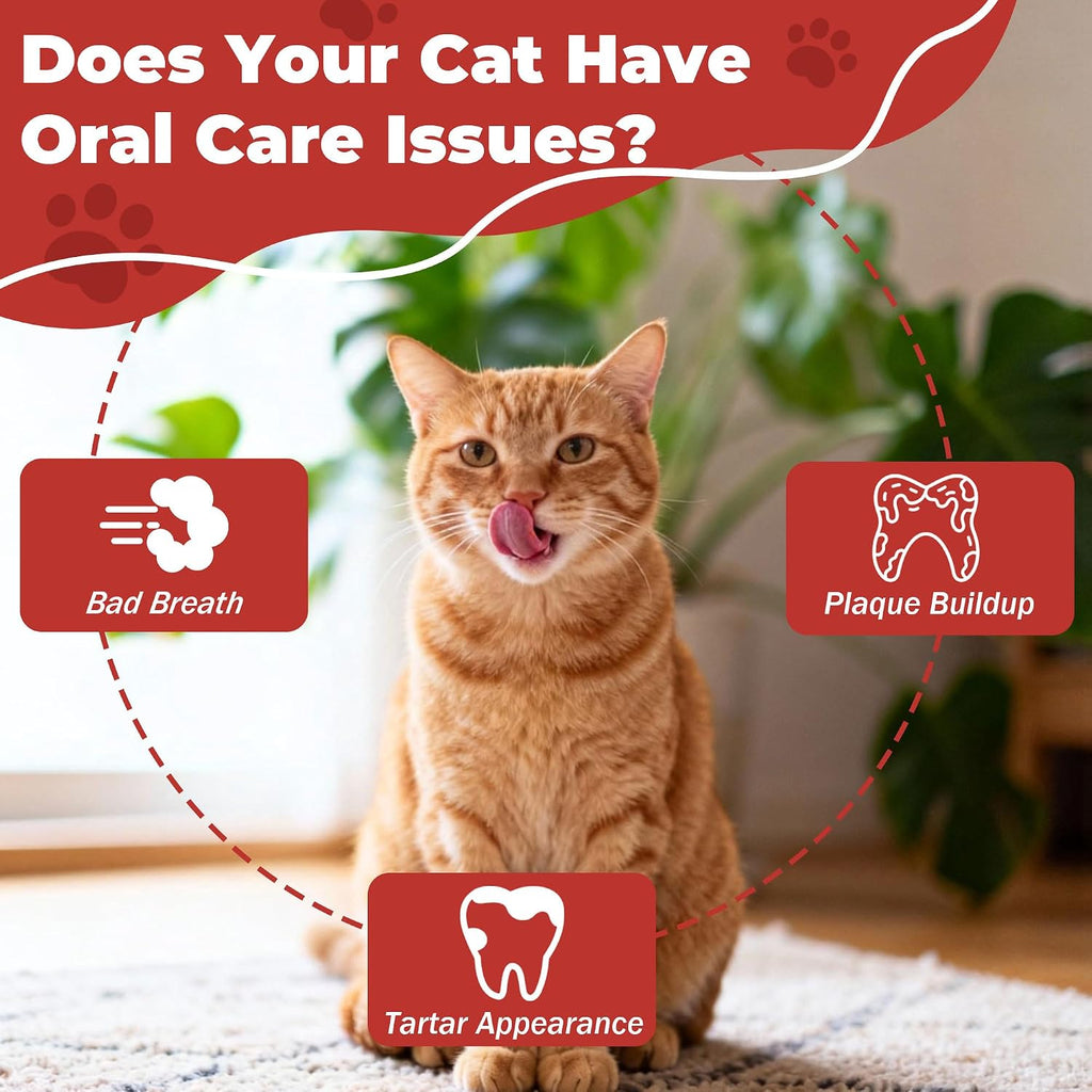 Cat Dental Care & Cat Teeth Cleaning Gel Treat for Cats – Dental Care for Cats, Cat Oral Care to Freshen Cat Breath, Help Reduce Plaque Buildup, Cats Bad Breath Support with Papain, MCC