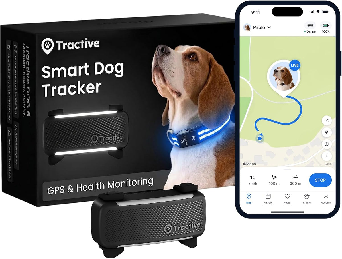 Smart Dog GPS Collar | Live Pet Tracker with Virtual Fence | Vital Signs Monitoring of Heart & Respiratory Rate | Bark Monitoring | LED Dog Collar (Blue, Large)