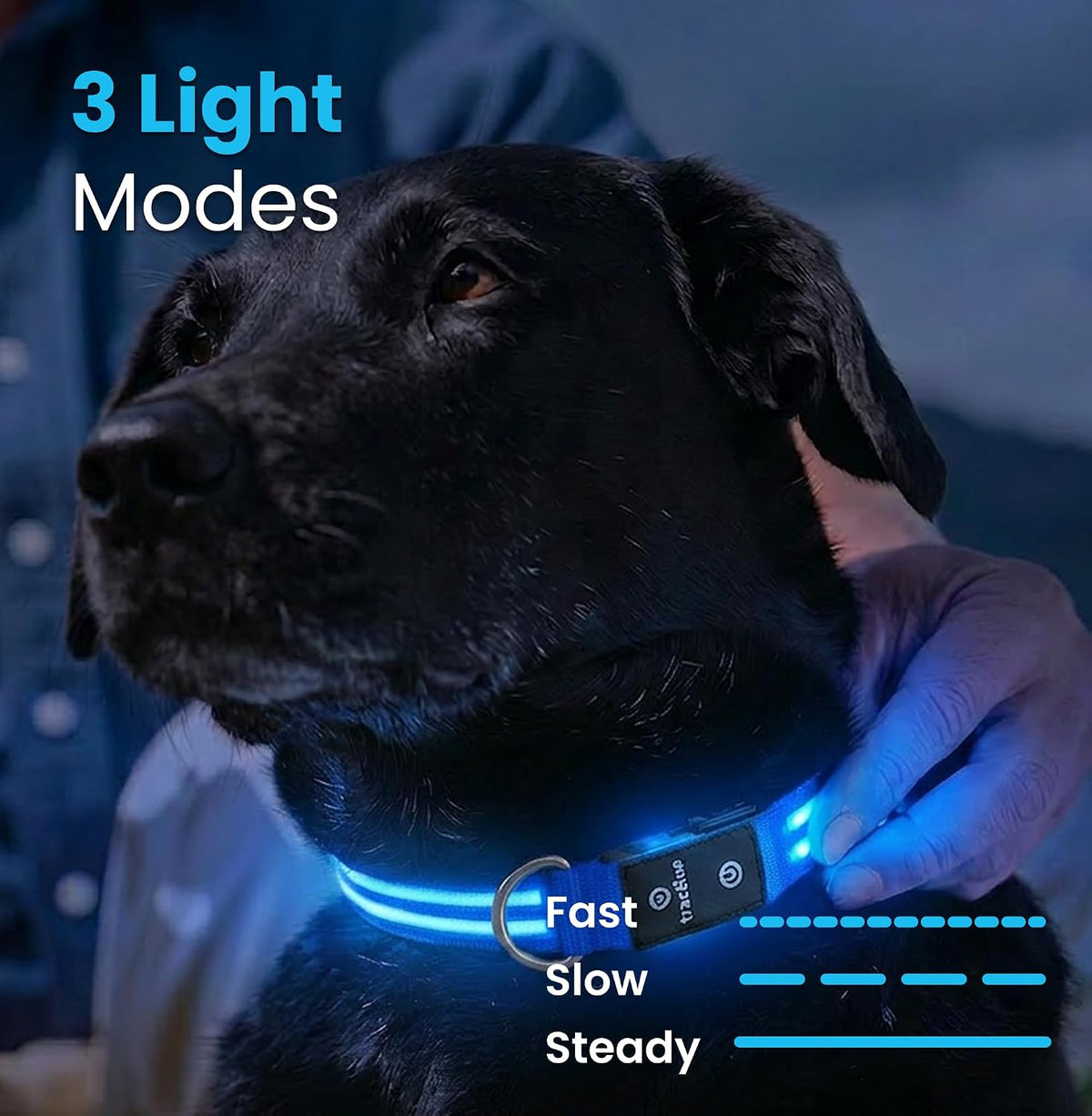 Smart Dog GPS Collar | Live Pet Tracker with Virtual Fence | Vital Signs Monitoring of Heart & Respiratory Rate | Bark Monitoring | LED Dog Collar (Blue, Large)